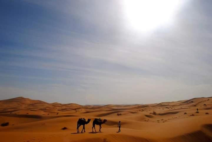 Отель Erg Chebbi Starlight Camp Мерзуга Экстерьер фото