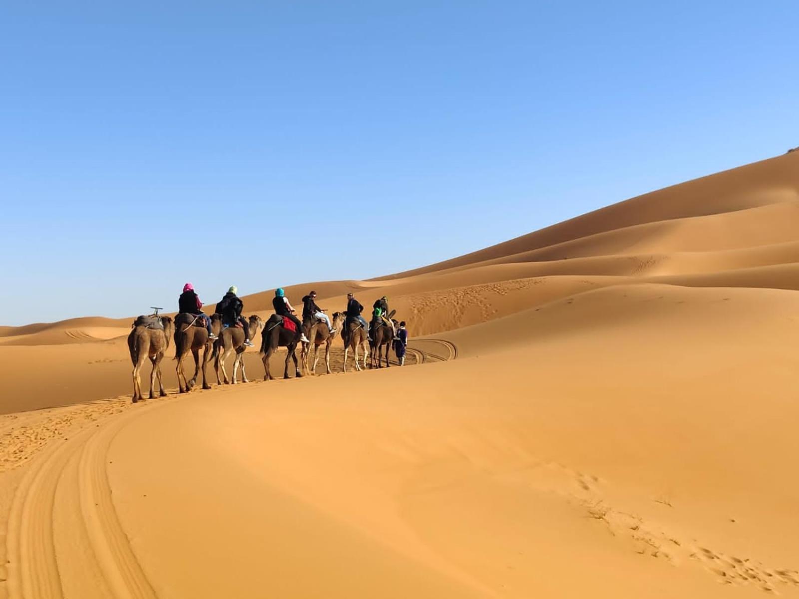 Отель Erg Chebbi Starlight Camp Мерзуга Экстерьер фото